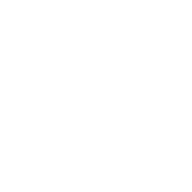custom_website