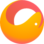 custom_website